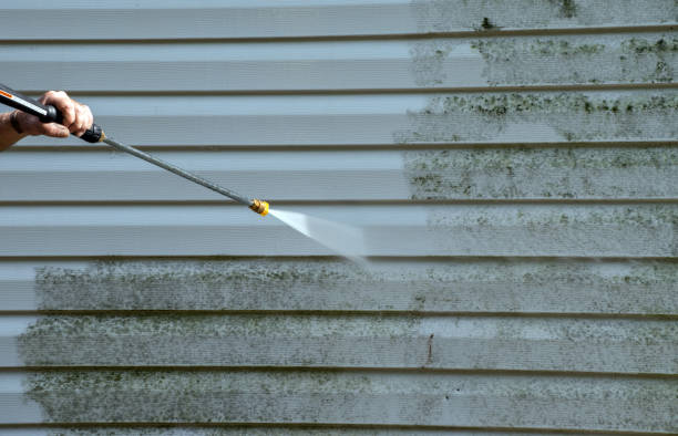 Best Affordable Pressure Washing  in Mcallen, TX