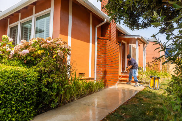 Best Affordable Power Washing  in Mcallen, TX